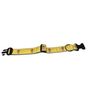 Yellow Pineapple Kids Belt
